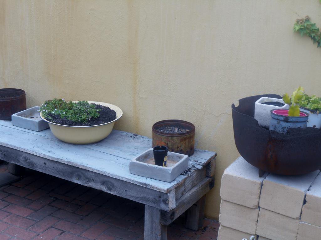 Toscana Cottage 포트엘리자베스 외부 사진